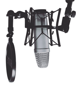 freelance-voice-over-services-header-microphone-284x300.png